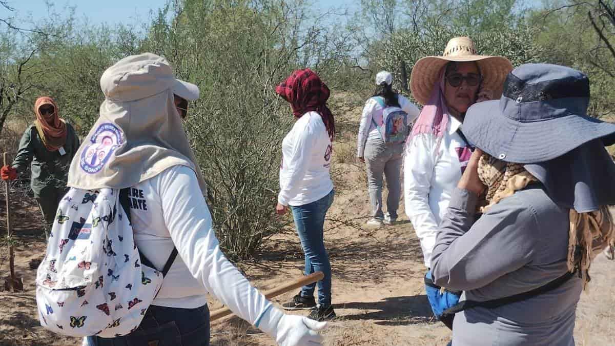 Madres buscadoras de Sonora fueron emboscadas y atacadas a balazos | VIDEO