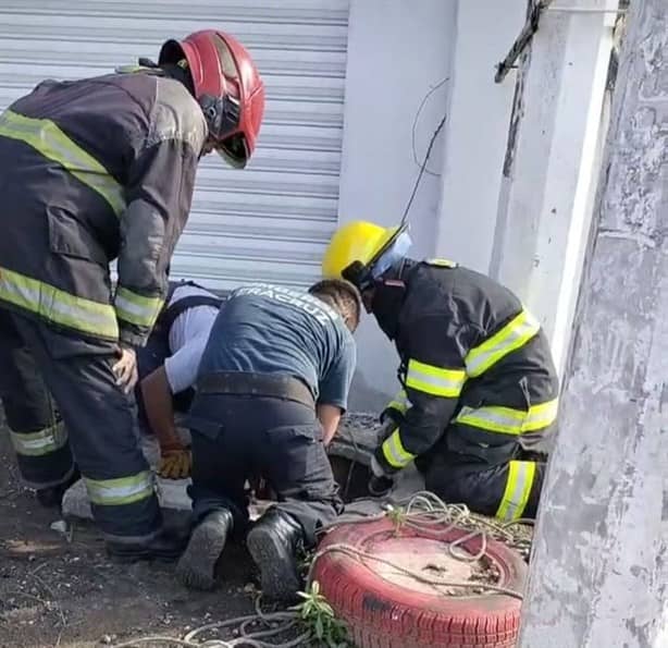 Rescatan a perrita caída a registro de CFE destapado en Veracruz