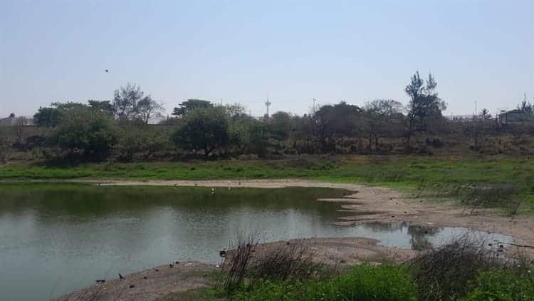 Alistan brigada de limpieza en laguna de El Encanto en Veracruz