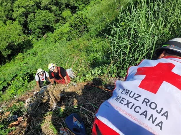 Adulto mayor cae a un barranco en Geo Pinos, en Veracruz | VIDEO