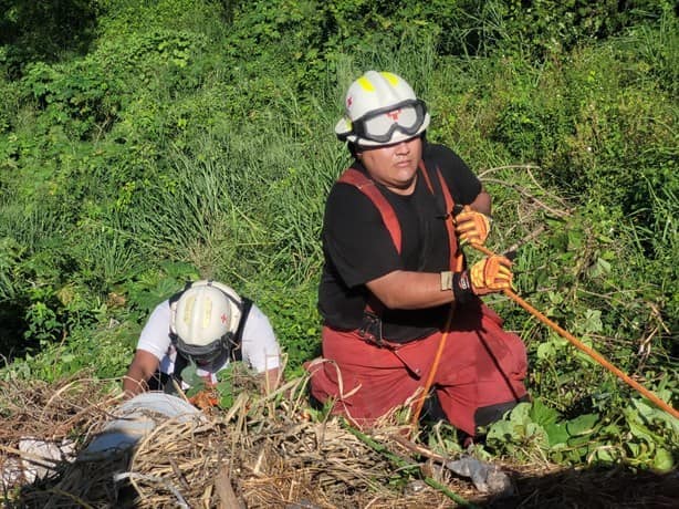 Adulto mayor cae a un barranco en Geo Pinos, en Veracruz | VIDEO