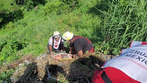 Adulto mayor cae a un barranco en Geo Pinos, en Veracruz | VIDEO