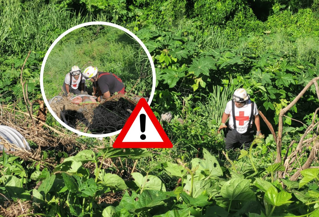 Adulto mayor cae a un barranco en Geo Pinos, en Veracruz | VIDEO