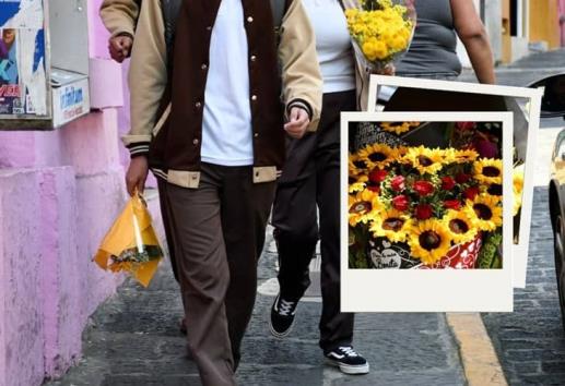 Xalapa se adorna de flores amarillas ¿Por qué las regalan?