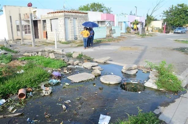 Estas son las colonias de Veracruz con más baches, evita transitarlas