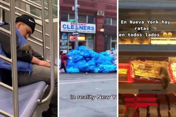 Ratas se apoderan de Nueva York; ya son ´atractivo turístico´ (+Video)