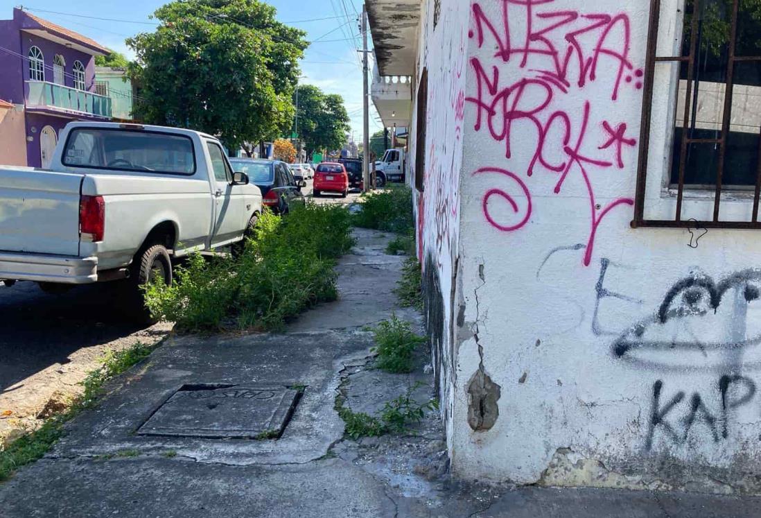 Se quejan por banquetas llenas de maleza y casas abandonadas en Veracruz