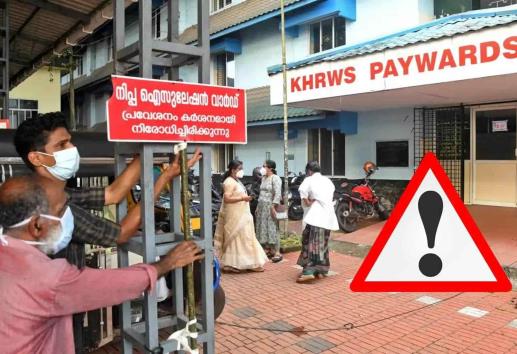 Nipah: el virus con el que lucha India actualmente y que de nuevo proviene de animales