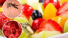 ¿Qué alimentos debo consumir si tengo dengue?