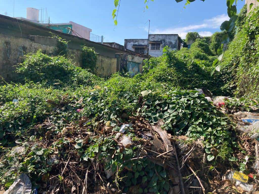 Montaña de basura en plena colonia Centro de Veracruz