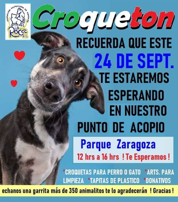 Invitan a Croquetón este fin de semana en Veracruz