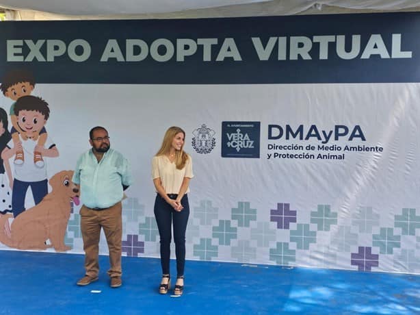 Realizan la Expo Adopta Virtual en Veracruz; más de 80 perritos en adopción