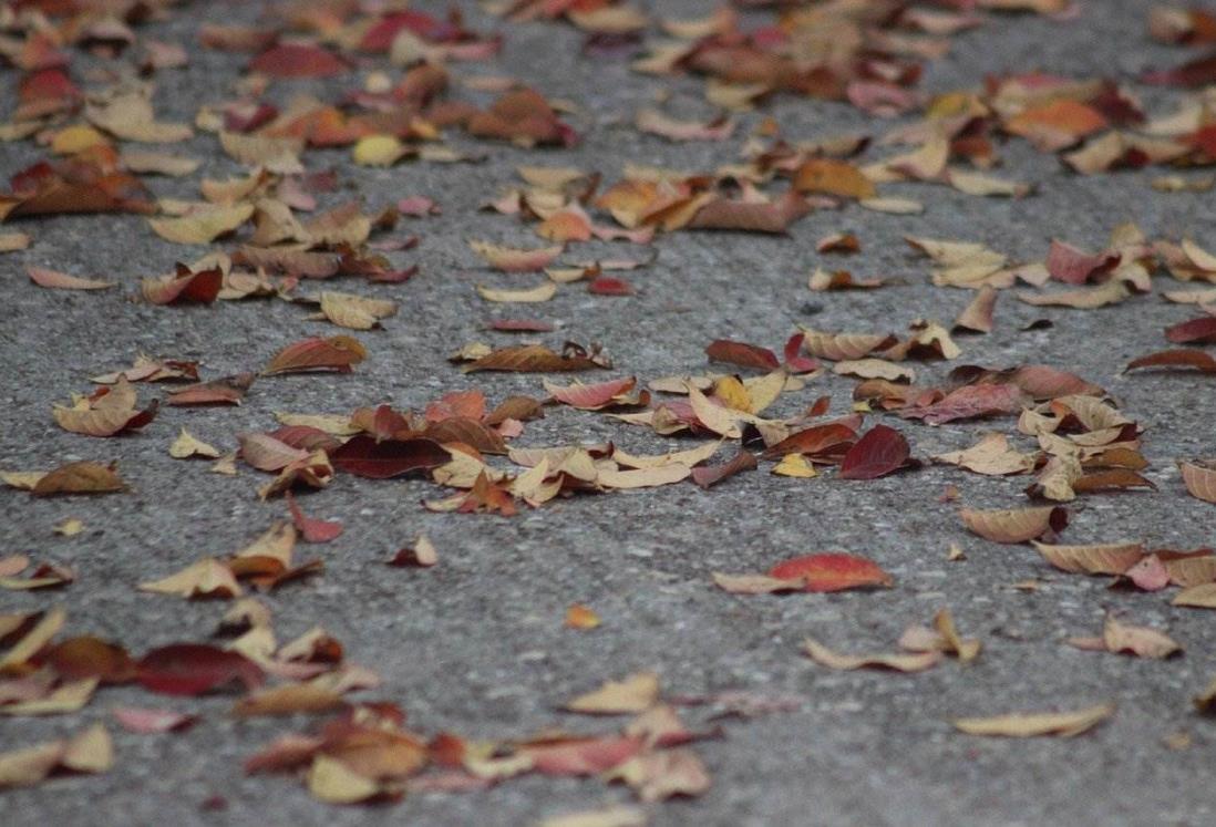 Inicia equinoccio de otoño en Veracruz