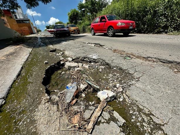 Palma Real y Lomas 4, fraccionamientos olvidados en Veracruz