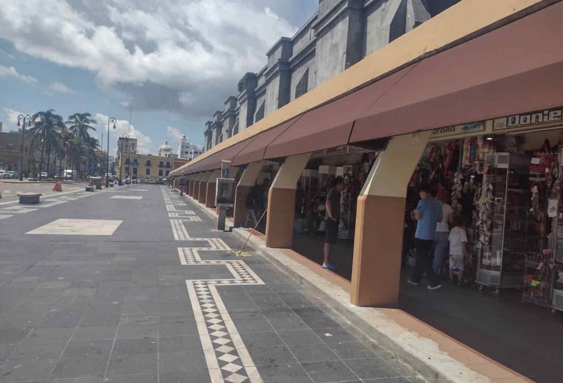 Urge plantar árboles en Malecón de Veracruz, piden artesanos