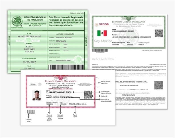 ¿CURP con foto? Así sería la actualización del documento, tendrá huella dactilar