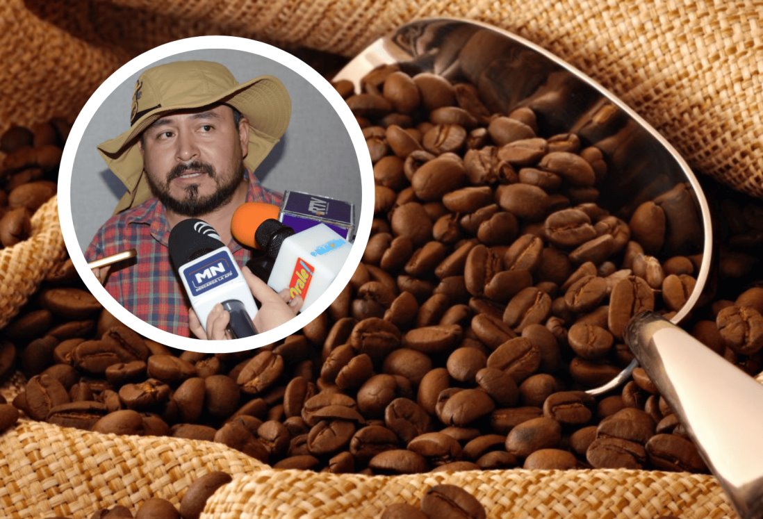 Productores de café en Veracruz se abren paso en el mercado con producto orgánico de especialidad