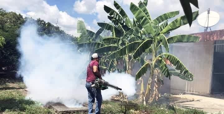 Continúan campañas de fumigación contra el dengue en Paso de Ovejas