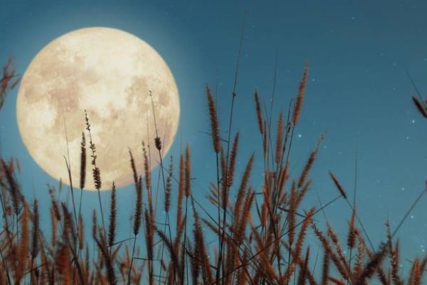 Luna llena de Cosecha 2023: así afectará a tu signo