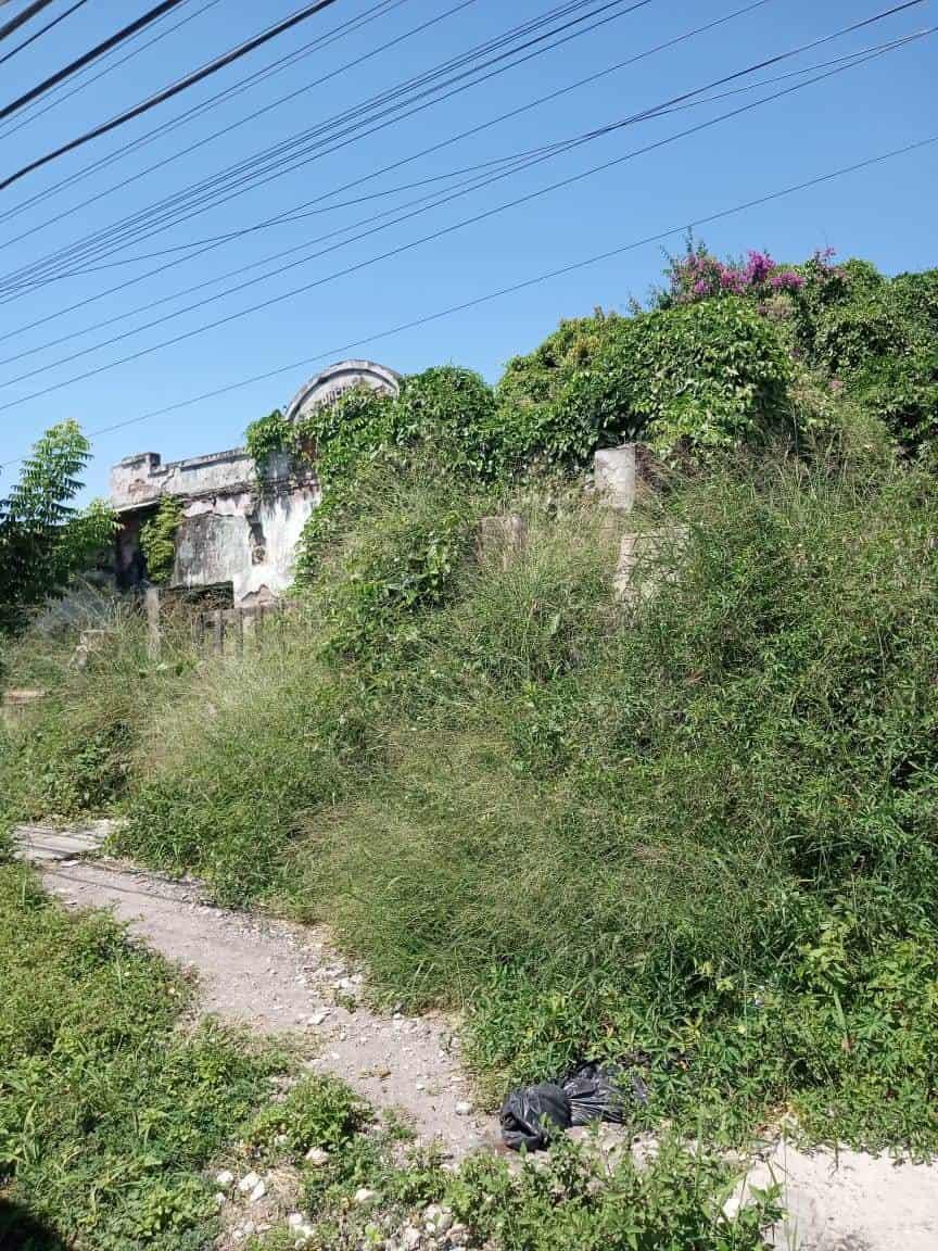 Construcción abandonada y enmontada en JB Lobos molesta a vecinos