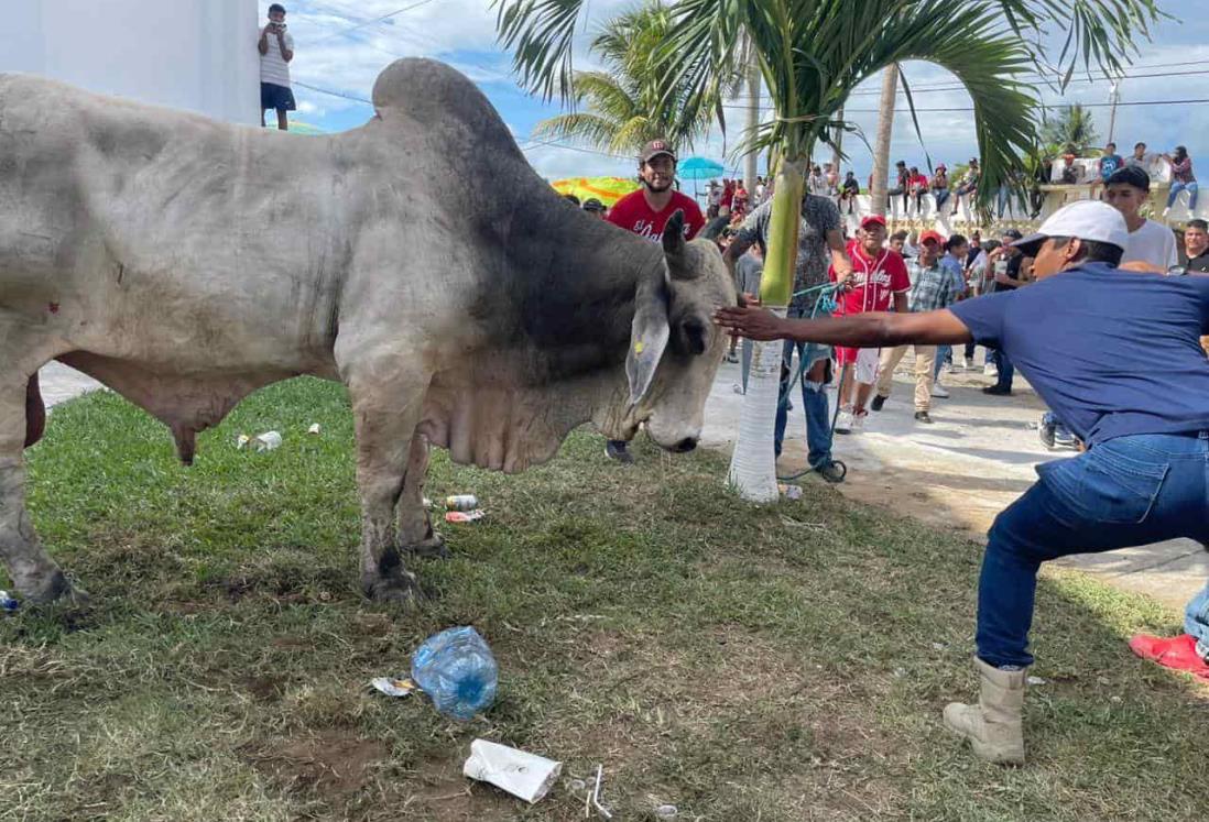 Barrio de Tlacotalpan celebra suelta de toros