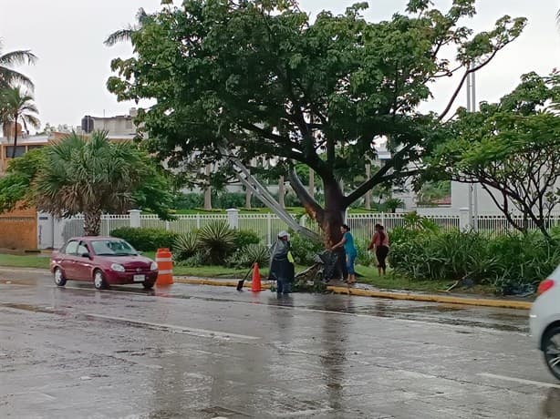 Fuerte accidente automovilístico en Boca del Río deja una persona sin vida | VIDEO