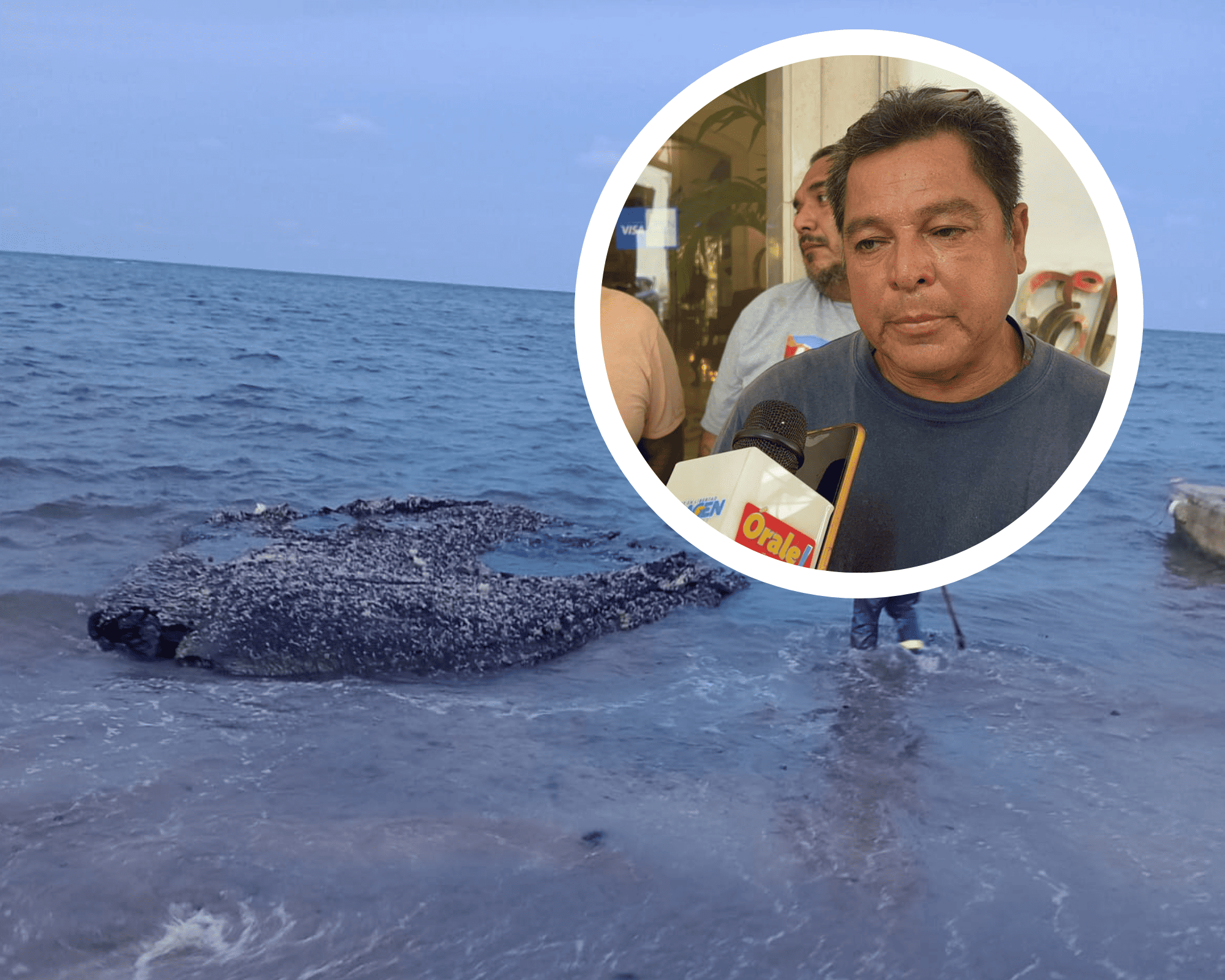 Pescadores denuncian presencia de restos de chapopote en zona de La Gallega, en Veracruz | VIDEO