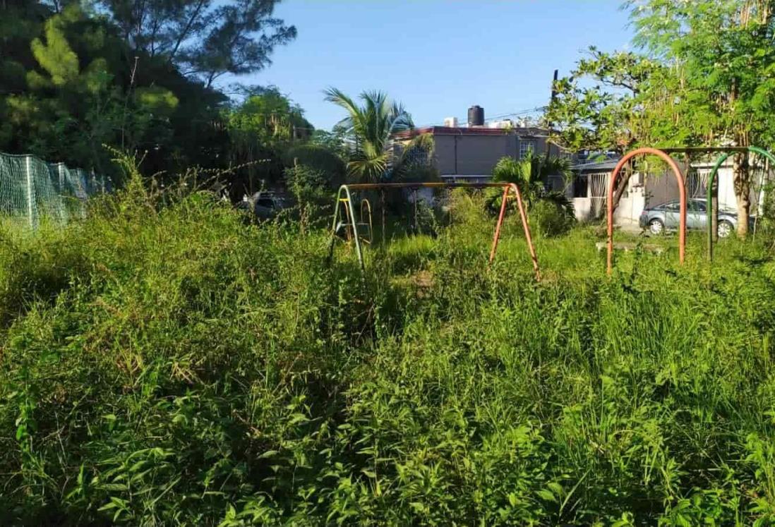 Maleza gana terreno en parque de Los Volcanes, en Veracruz