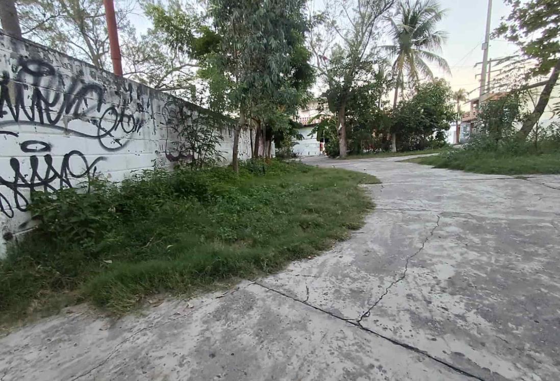 Abandonado luce el parque Los Pinos de Veracruz