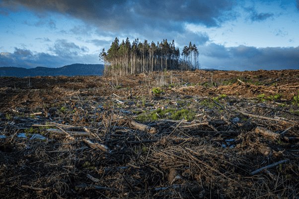 Cómo afecta el cambio climático a México