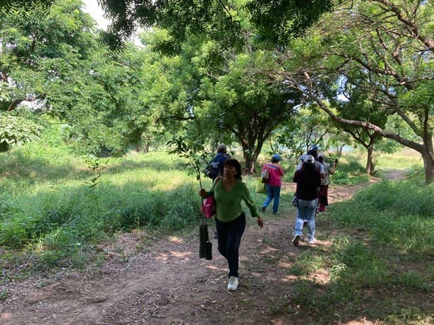 Siembran 400 árboles de diversas especies para restaurar Laguna El Encanto, en Veracruz