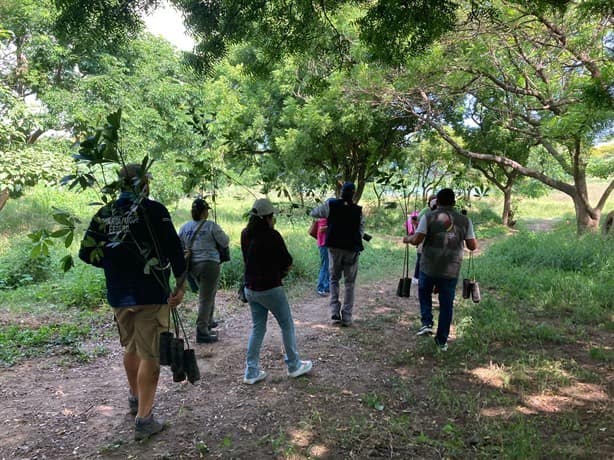 Siembran 400 árboles de diversas especies para restaurar Laguna El Encanto, en Veracruz