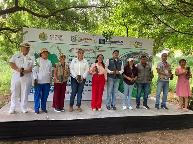 Siembran 400 árboles de diversas especies para restaurar Laguna El Encanto, en Veracruz