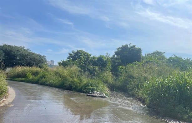 Aguas negras afectan a vecinos de fraccionamiento de Veracruz