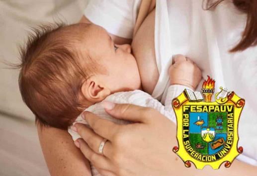 Fesapauv va por derecho de lactancia con foro regional en Xalapa