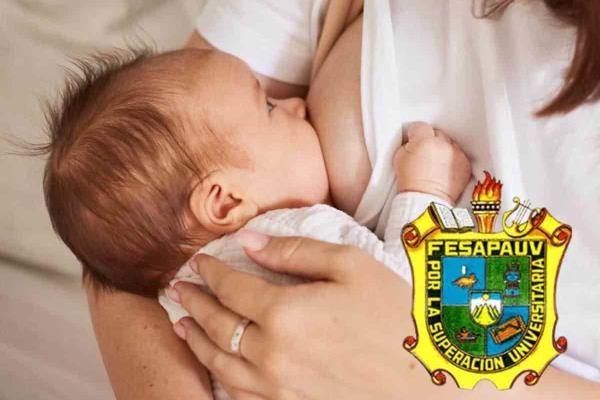 Fesapauv va por derecho de lactancia con foro regional en Xalapa