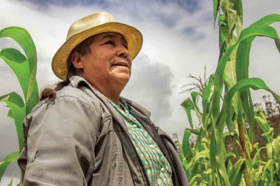 Mujeres rurales que urgen ser visibilizadas y respaldadas