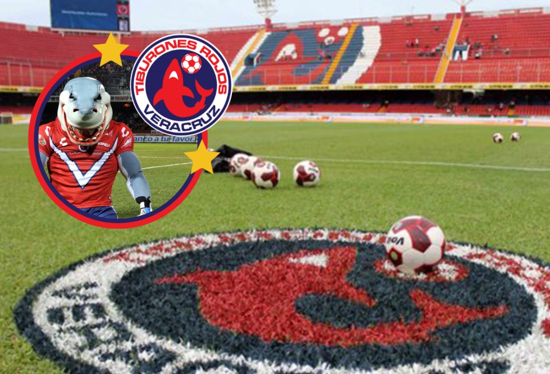 Veracruzano inicia colecta para rescatar a los Tiburones Rojos de Veracruz