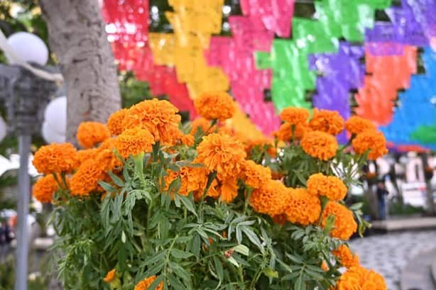 Conoce las calaveras gigantes con las que te puedes tomar fotos en Veracruz