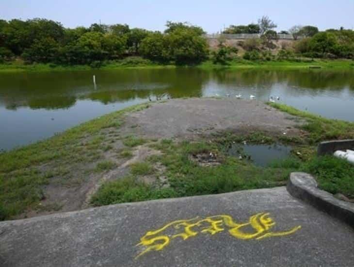 Instalarán cámaras de seguridad en sendero de laguna de Veracruz