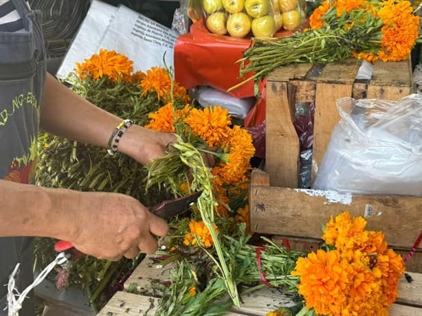 Encarece el Cempasúchil en Veracruz; vendedores prevén bajas ventas