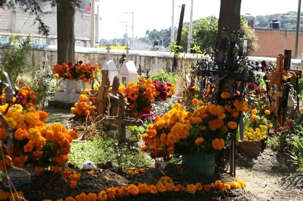 Comerciantes de flores repuntarán sus ventas en panteones de Veracruz