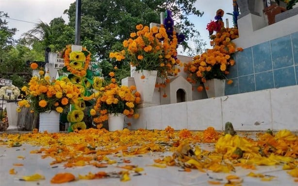 Comerciantes de flores repuntarán sus ventas en panteones de Veracruz