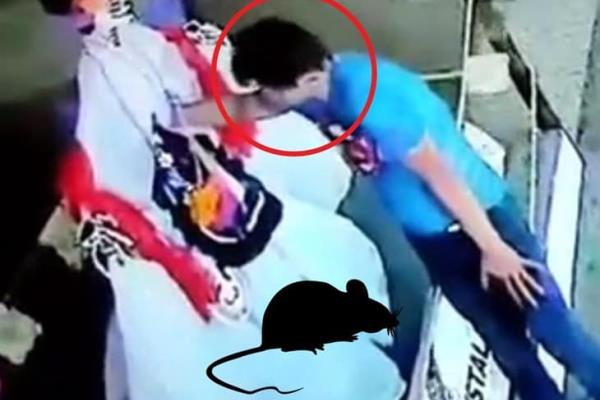 Denuncian a roba catrinas en Xalapa: todo quedó en video (+Video) 