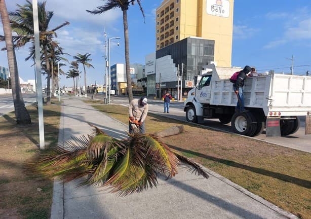 Norte violento en Veracruz: sigue estás recomendaciones para evitar daños en casa