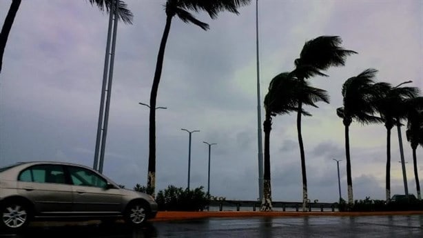 Norte violento en Veracruz: sigue estás recomendaciones para evitar daños en casa