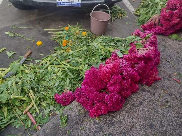 A la baja venta de cempasúchil y moco de pavo previo al Día de Muertos en Veracruz