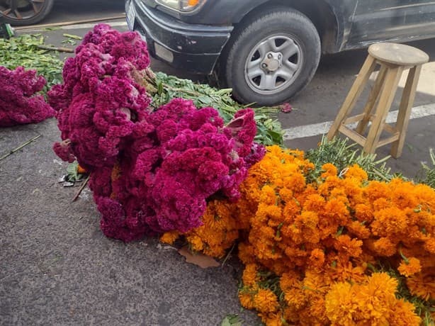 A la baja venta de cempasúchil y moco de pavo previo al Día de Muertos en Veracruz