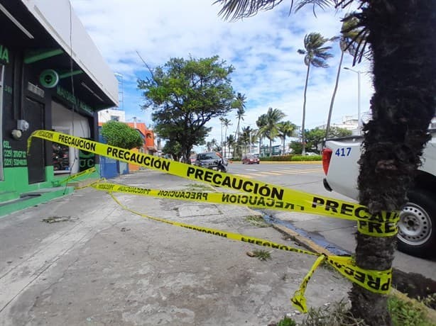 Norte violento derriba árboles y luminarias en Veracruz dañando casa y automóvil