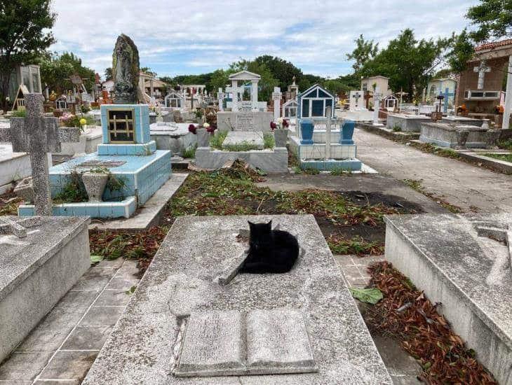 Tumbas en panteón de Veracruz están abandonadas